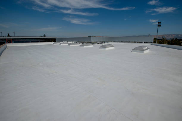 Best 4 Ply Roofing  in Pima, AZ